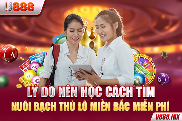 Lý do nên học cách tìm nuôi bạch thủ lô miền Bắc miễn phí Lý do nên học cách tìm nuôi bạch thủ lô miền Bắc miễn phí