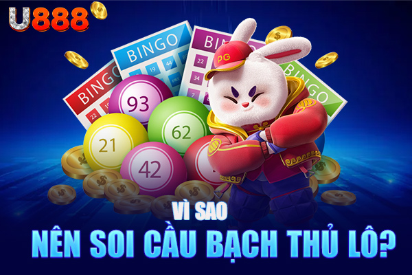 Vì sao nên soi cầu bạch thủ lô? Vì sao nên soi cầu bạch thủ lô?